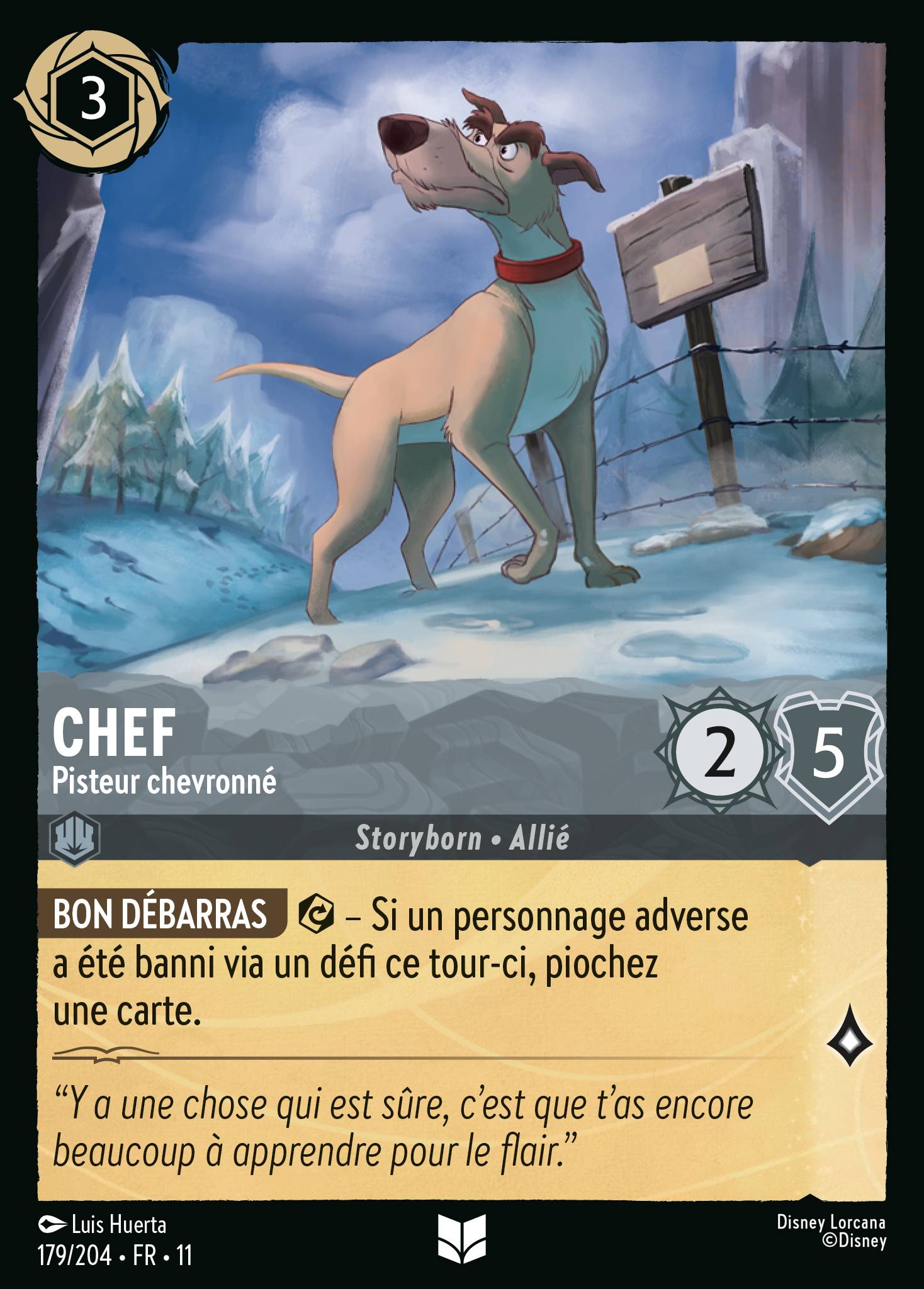Chef - Pisteur chevronné